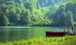 Milli parklar şirketlere açılıyor: Plan şartı kaldırılıyor, turizm ve altyapıya izin