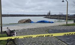 Ordu'da sahile İHA vurdu iddiası!