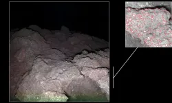 Ryugu asteroidinde yaşamın temel yapı taşları keşfedildi
