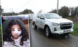 Okuldan eve dönen 6 yaşındaki çocuğa sokak köpekleri saldırdı