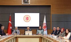 Çocuklara Karşı Şiddet ve İstismarı Araştırma Komisyonu raporunun detayları ortaya çıktı