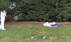 TEM yolunun kenarında bebek cesedi bulundu