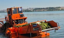 Ankara’da göl ve göletlerde temizlik çalışmaları hız kazandı