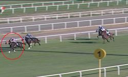 Yarış atı kavurma yapılan iş insanına 132 bin TL ceza kesildi