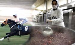 Kavurma yapılan İngiliz yarış atının sahibi konuştu!