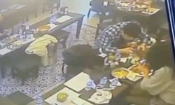 Yemek yerken dudağını böcek ısırdı; şikayetçi oldu