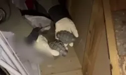Uyuşturucu operasyonunda el bombası ve havan topu gövdeleri ele geçirildi