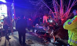 Otomobil ağaca çarptı: 2 ölü, 2 yaralı