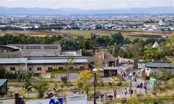 Kan donduran itiraf: Eşinin cesedini hayvanat bahçesi fırınında yok etmiş!