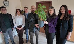 Bolu ve Ankaralı akademisyenler 'biyopil' ile bitkilerden elektrik üretti!