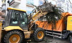 Mamak’ta bahar bakımı hız kazandı
