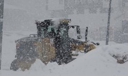 O ilde kardan dolayı 82 köy yolu ulaşıma kapandı