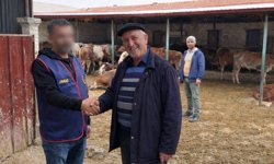 Çobanları hamama götürüp, 5 milyon lira değerindeki hayvanlarını çaldılar!