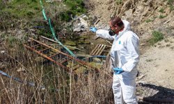 Çankaya Belediyesi’nden yaz öncesi yoğun ilaçlama seferberliği