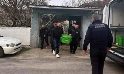 İki kardeş, annelerini dövdüğünü iddia ettikleri babalarını baltayla öldürdü