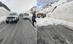 Hakkari-Şırnak kara yolu çığ nedeniyle kapandı