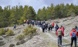 ABB’den Kızılcahamam’da ücretsiz doğa yürüyüşü: 200’e yakın başkentli doğayla buluştu