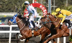 100'üncü Gazi Koşusu'nun tarihi belli oldu!