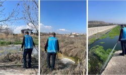 Kahramankazan’da haşerelere karşı seferberlik: İlçe genelinde yoğun ilaçlama yapılıyor