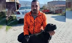 Kamyonuyla çukura düşen belediye çalışanı öldü