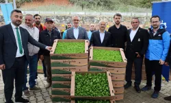 Kocaeli'de çiftçilere sebze fidesi desteği; işte son başvuru tarihi