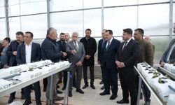 Kahramankazan’da Soğucak Termal Serası üretime başladı