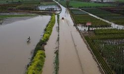 İzmir’de sağanak yağış: Tarım arazileri su altında kaldı