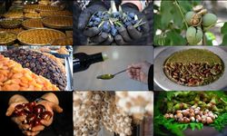 Bazı gıda ürünleri turuncu etiketle satılacak!