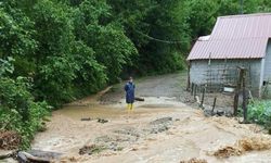 Artvin'de sağanak taşkın ve heyelanlara neden oldu