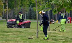 Ankara'nın park ve yeşil alanlarında kapsamlı bakım çalışması