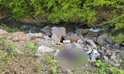 Binlerce saat kamera kaydı incelendi, cinayet şüphelisi bir günde yakalandı