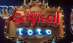 Çılgın Sayısal Loto'da dudak uçuklatan ikramiye!