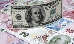 Dev bankadan yıl sonu dolar/TL tahmini