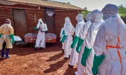 Ebola salgını patlak verdi: Yüzlerce insan hayatını kaybetti!