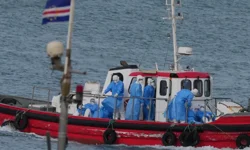 DSÖ'den Hantavirüs salgını çıkan yolcu gemisindeki son durum ilişkin açıklama
