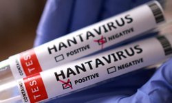 Hantavirüs salgını yayılıyor: Bir ülkede daha görüldü!