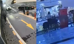 AVM'de çanta çalan 10 yaşındaki çocuğun 92 suç kaydı çıktı!