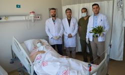‘İyi gelir’ diye toplayıp yediği ot, iç organlarına zarar verdi