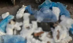 İzmir'de 33 kedi çöpte ölü bulunmuştu: Gözaltına alınan şüpheli adliyeye sevk edildi