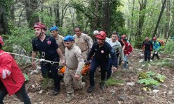 Kayıp demans hastası ormanda ölü bulundu