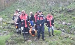 Mantar toplarken ayı saldırısına uğradı!