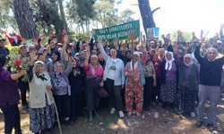 Danıştay'dan Akbelen kararı: Acele kamulaştırma yargıdan döndü