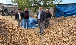 CHP’li Ömer Fethi Gürer: Patates, üreticinin yine yüzünü güldürmedi