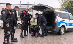 Polise direnen ehliyetsiz motosiklet sürücüsüne biber gazıyla müdahale