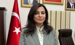 AK Partili Pervin Tuba Durgut: Sokak hayvanları sorununun sebebi insanlar