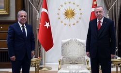 AK Partili Şamil Tayyar: Cumhurbaşkanımızın adaylık konusunda birden fazla planı var