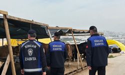 Sincan Belediyesi Kurban Bayramı hazırlıklarını tamamladı