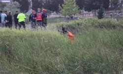 Sakarya'da tabiat parkındaki gölette kadın cesedi bulundu