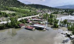 Tokat’ta taşkın nedeniyle tarım arazileri su altında kaldı