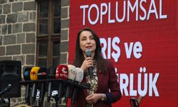 Tülay Hatimoğulları: Süreçte atılmış adımlar var ama tıkanmış adımları da duyuyoruz